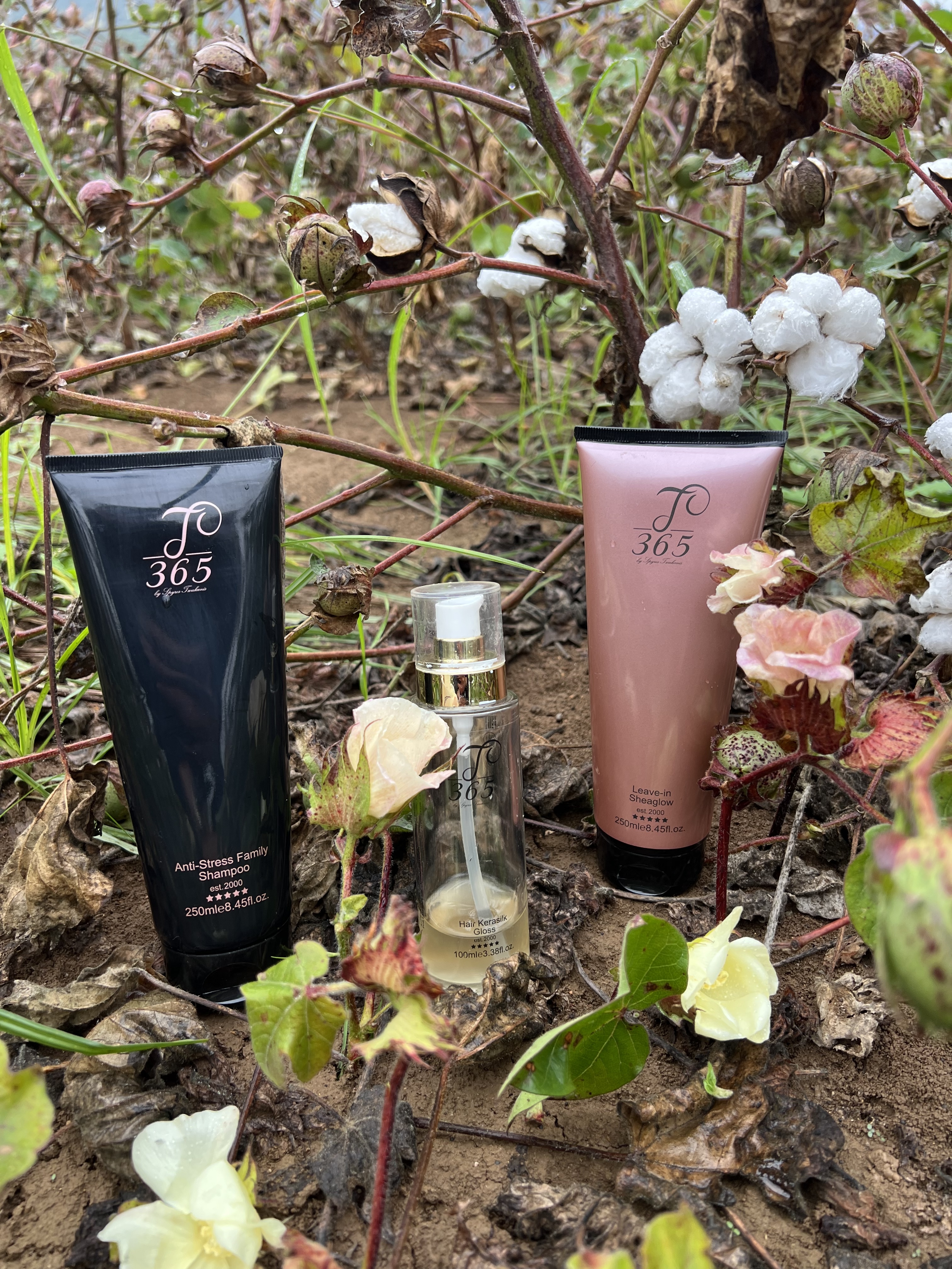 Φωτογραφία από 